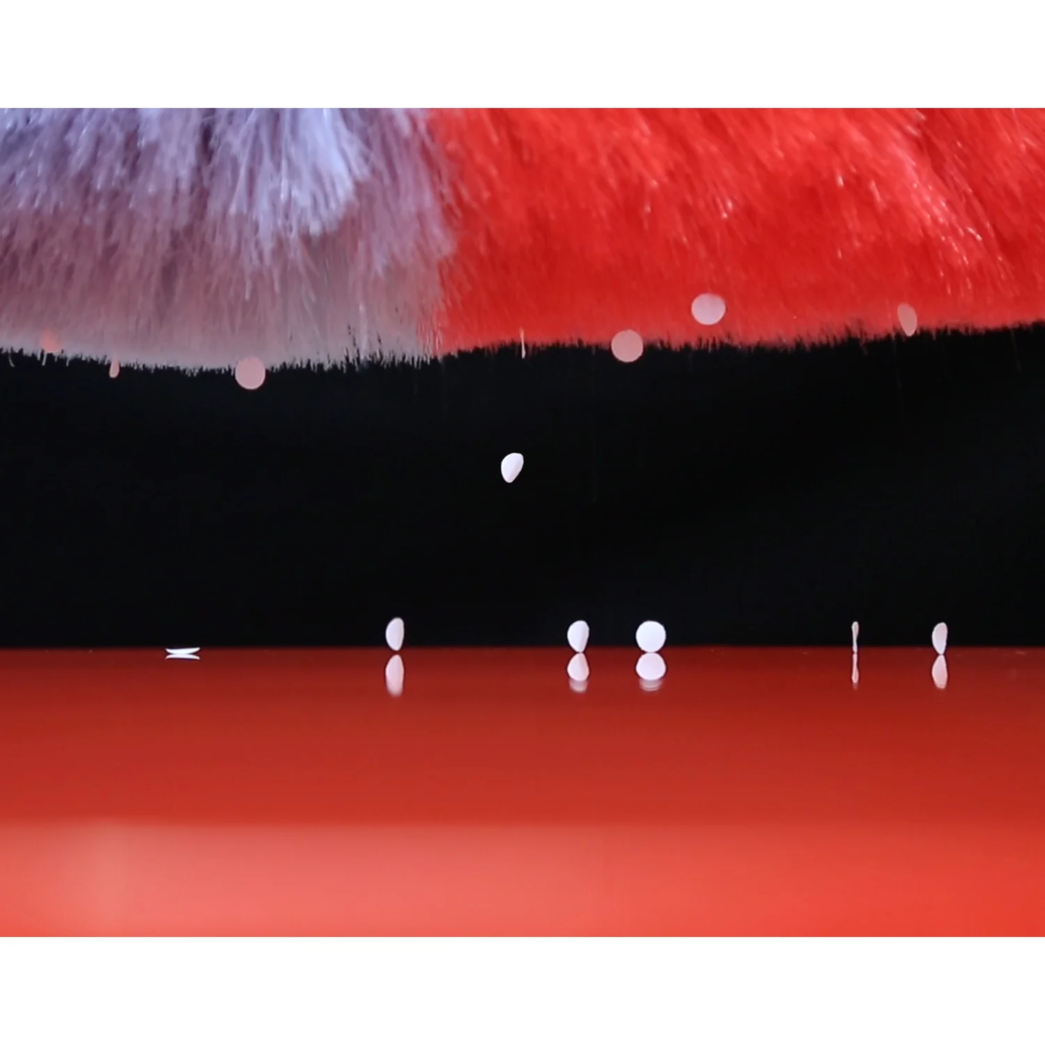 Kleva Miracle Magnetic Duster® Attracts Dust Like A Magnet! + 2 Meter Long Extension Pole - Image 3